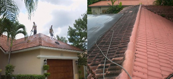 Roof Cleaning Services